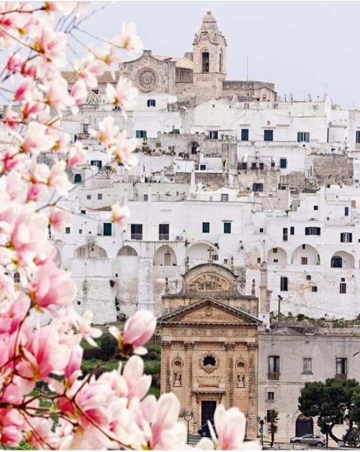 Dal Signor Wolf Bed & Breakfast Pezze Di Greco Exterior foto