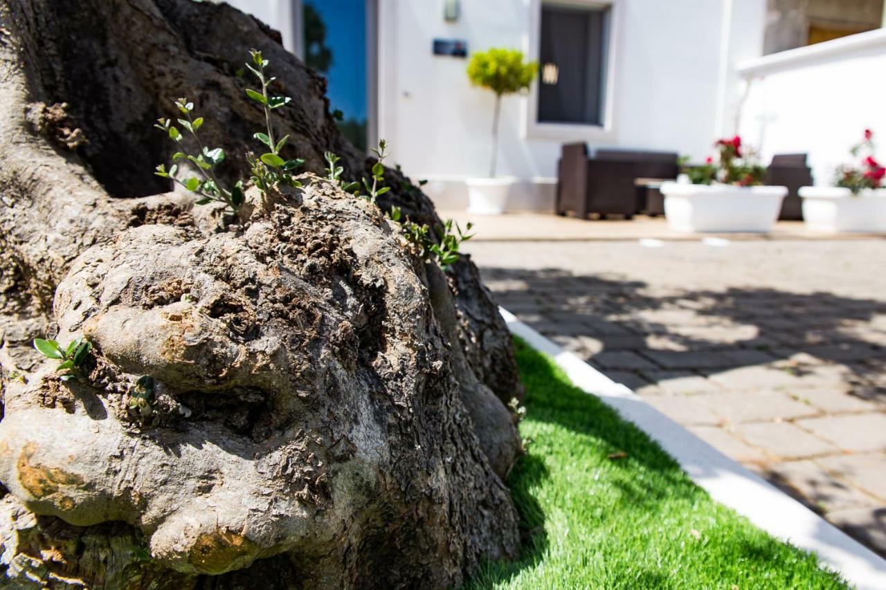 Dal Signor Wolf Bed & Breakfast Pezze Di Greco Exterior foto